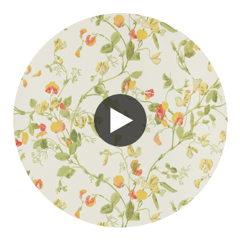 Sweet Pea - Pink & Yellow  By Cole & Son | Cole & Son Archive Anthology |Botanical & Floral  Wallcovering Print Circular Swatch | DW