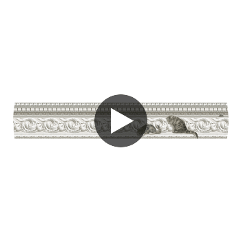 Paddy&Louis Bd - Natural  By Cole & Son | Cole & Son Whimsical | Borders Wallcovering Print Circular Swatch | DW