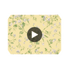 Sweet Pea - Yellow  By Cole & Son | Cole & Son Archive Anthology |Botanical & Floral  Wallcovering Print Circular Swatch | DW
