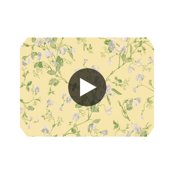 Sweet Pea - Yellow  By Cole & Son | Cole & Son Archive Anthology |Botanical & Floral  Wallcovering Print Circular Swatch | DW