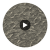 Columbus - Gilver  By Cole & Son | Cole & Son Whimsical | Novelty Wallcovering Print Circular Swatch | DW