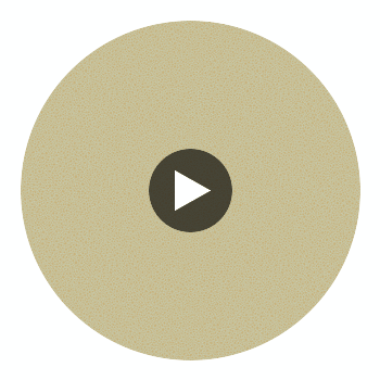 Goldstone - Olive & Gold Gold By Cole & Son | Cole & Son Curio |  Wallcovering Print Circular Swatch | DW