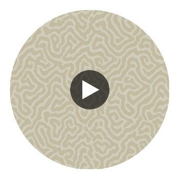 Coral - Pale Stone Slate By Cole & Son | Cole & Son Landscape Plains |  Wallcovering Print Circular Swatch | DW