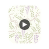 Egerton - Lilac  By Cole & Son | Cole & Son Archive Anthology |Botanical & Floral  Wallcovering Print Circular Swatch | DW