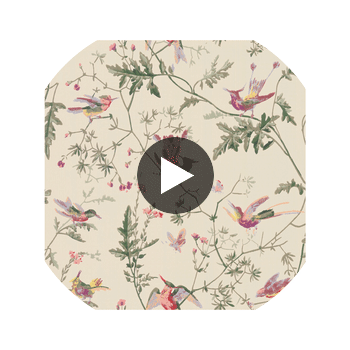 Hummingbirds - Original Multi-Colour  By Cole & Son | Cole & Son Selection Of Hummingbirds |Animal/Insects Botanical & Floral Wallcovering Print Circular Swatch | DW
