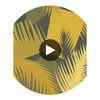 Deco Palm - Yellow  By Cole & Son | Cole & Son Geometric Ii |  Wallcovering Print Circular Swatch | DW