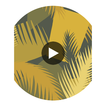 Deco Palm - Yellow  By Cole & Son | Cole & Son Geometric Ii |  Wallcovering Print Circular Swatch | DW
