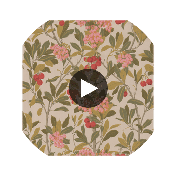 Strawberry Tree - Pink & Linen  By Cole & Son | Cole & Son Archive Anthology |Botanical & Floral  Wallcovering Print Circular Swatch | DW