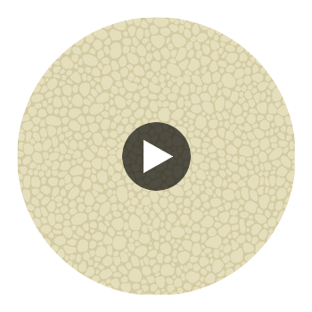 Pebble - Cream Beige By Cole & Son | Cole & Son Landscape Plains |  Wallcovering Print Circular Swatch | DW