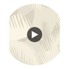Deco Palm - Grey  By Cole & Son | Cole & Son Geometric Ii |  Wallcovering Print Circular Swatch | DW