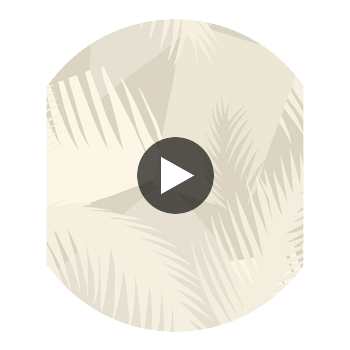 Deco Palm - Grey  By Cole & Son | Cole & Son Geometric Ii |  Wallcovering Print Circular Swatch | DW