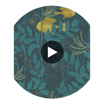 Nautilus - Dark Blue  By Cole & Son | Cole & Son Whimsical | Animal/Insects Wallcovering Print Circular Swatch | DW