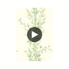 Bamboo - Green  By Cole & Son | Cole & Son Archive Anthology |Botanical & Floral  Wallcovering Print Circular Swatch | DW