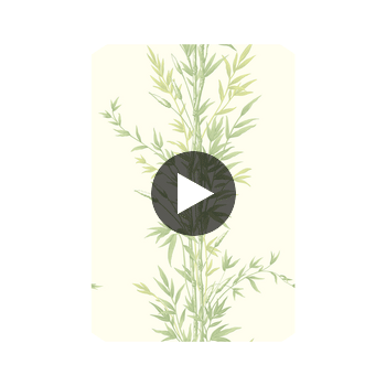 Bamboo - Green  By Cole & Son | Cole & Son Archive Anthology |Botanical & Floral  Wallcovering Print Circular Swatch | DW
