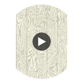 Zebrawood - Stone Beige By Cole & Son | Cole & Son Curio |  Wallcovering Print Circular Swatch | DW