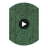 Zebrawood - Emerald Green By Cole & Son | Cole & Son Curio |  Wallcovering Print Circular Swatch | DW