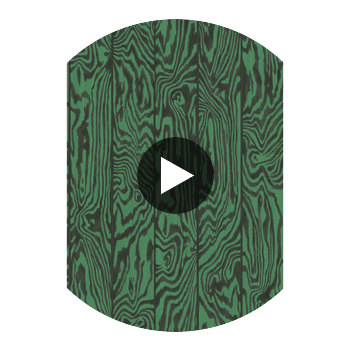 Zebrawood - Emerald Green By Cole & Son | Cole & Son Curio |  Wallcovering Print Circular Swatch | DW