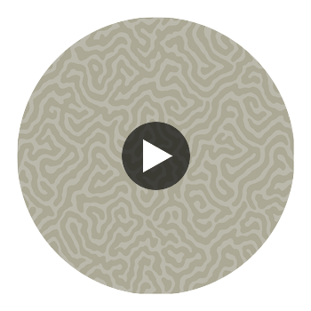 Coral - Stone Grey By Cole & Son | Cole & Son Landscape Plains |  Wallcovering Print Circular Swatch | DW