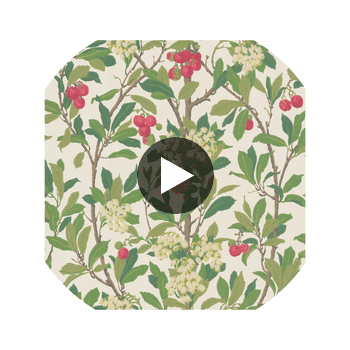 Strawberry Tree - Scarlet & Ivory  By Cole & Son | Cole & Son Archive Anthology |Botanical & Floral  Wallcovering Print Circular Swatch | DW