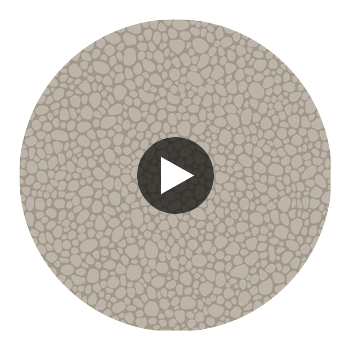 Pebble - Mushroom Taupe By Cole & Son | Cole & Son Landscape Plains |  Wallcovering Print Circular Swatch | DW