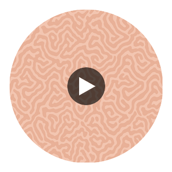 Coral - Salmon Coral By Cole & Son | Cole & Son Landscape Plains |  Wallcovering Print Circular Swatch | DW
