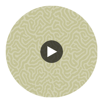Coral - Old Olive Olive Green By Cole & Son | Cole & Son Landscape Plains |  Wallcovering Print Circular Swatch | DW