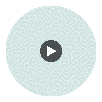 Coral - Print Room Blue Turquoise By Cole & Son | Cole & Son Landscape Plains |  Wallcovering Print Circular Swatch | DW