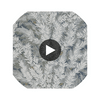 Florencecourt - Charcoal  By Cole & Son | Cole & Son Archive Anthology |Botanical & Floral  Wallcovering Print Circular Swatch | DW