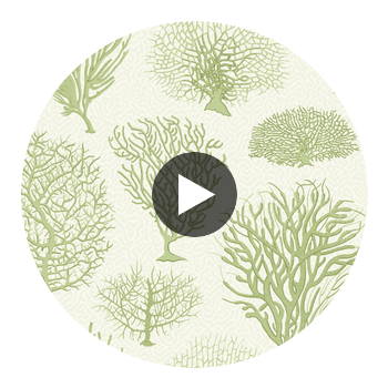 Seafern - Soft Green Celery By Cole & Son | Cole & Son Curio |  Wallcovering Print Circular Swatch | DW