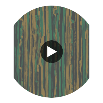 Strand - Teal & Gold Teal By Cole & Son | Cole & Son Curio |  Wallcovering Print Circular Swatch | DW