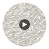 Columbus - Black &White  By Cole & Son | Cole & Son Whimsical | Novelty Wallcovering Print Circular Swatch | DW