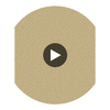 Vermicelli - Buff & Gold Gold By Cole & Son | Cole & Son Curio |  Wallcovering Print Circular Swatch | DW