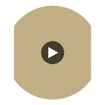 Vermicelli - Buff & Gold Gold By Cole & Son | Cole & Son Curio |  Wallcovering Print Circular Swatch | DW