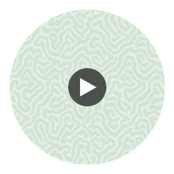 Coral - Duck Egg Celery By Cole & Son | Cole & Son Landscape Plains |  Wallcovering Print Circular Swatch | DW