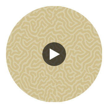Coral - Buff Beige By Cole & Son | Cole & Son Landscape Plains |  Wallcovering Print Circular Swatch | DW