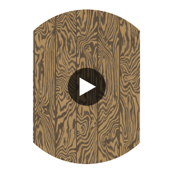 Zebrawood - Tiger Camel By Cole & Son | Cole & Son Curio |  Wallcovering Print Circular Swatch | DW