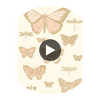 Butterflies & Dragonflies - Pink On Ivry  By Cole & Son | Cole & Son Whimsical | Animal/Insects Wallcovering Print Circular Swatch | DW