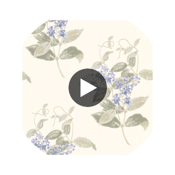 Madras Violet - Violet & Grey  By Cole & Son | Cole & Son Archive Anthology |Botanical & Floral  Wallcovering Print Circular Swatch | DW