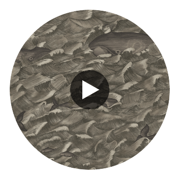 Melville Mt - Charcoal  By Cole & Son | Cole & Son Whimsical | Animal/Insects Wallcovering Print Circular Swatch | DW