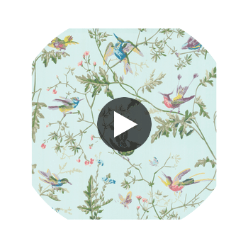 Hummingbirds - Blue Multi-Colour  By Cole & Son | Cole & Son Selection Of Hummingbirds |Animal/Insects Botanical & Floral Wallcovering Print Circular Swatch | DW