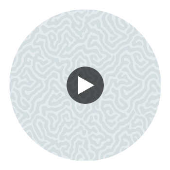 Coral - Powder Blue Slate By Cole & Son | Cole & Son Landscape Plains |  Wallcovering Print Circular Swatch | DW