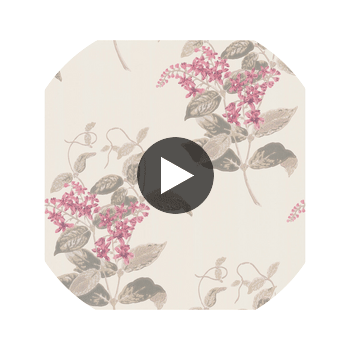 Madras Violet - Pink   By Cole & Son | Cole & Son Archive Anthology |Botanical & Floral  Wallcovering Print Circular Swatch | DW