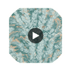 Florencecourt - Teal  By Cole & Son | Cole & Son Archive Anthology |Botanical & Floral  Wallcovering Print Circular Swatch | DW