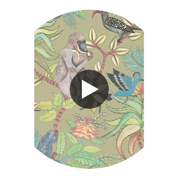 Savuti - Khaki Multi Multi By Cole & Son | Cole & Son Ardmore |  Wallcovering Print Circular Swatch | DW
