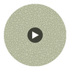 Pebble - Sage Sage By Cole & Son | Cole & Son Landscape Plains |  Wallcovering Print Circular Swatch | DW