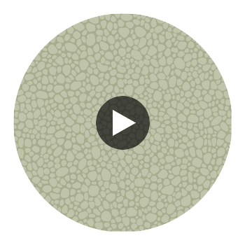 Pebble - Sage Sage By Cole & Son | Cole & Son Landscape Plains |  Wallcovering Print Circular Swatch | DW