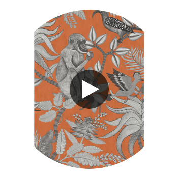Savuti - Orange Orange By Cole & Son | Cole & Son Ardmore |  Wallcovering Print Circular Swatch | DW