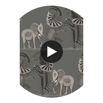 Safari Dance - Charcoal Black & White Charcoal By Cole & Son | Cole & Son Ardmore |  Wallcovering Print Circular Swatch | DW