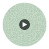 Pebble - Print Room Blue Turquoise By Cole & Son | Cole & Son Landscape Plains |  Wallcovering Print Circular Swatch | DW