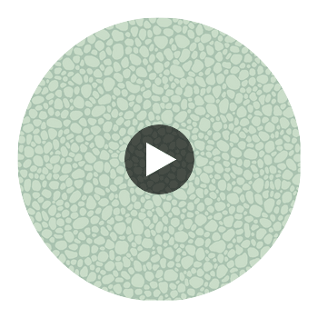 Pebble - Print Room Blue Turquoise By Cole & Son | Cole & Son Landscape Plains |  Wallcovering Print Circular Swatch | DW